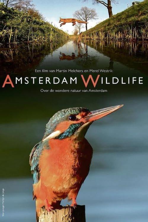 Amsterdam Wildlife 2015 official movie poster
