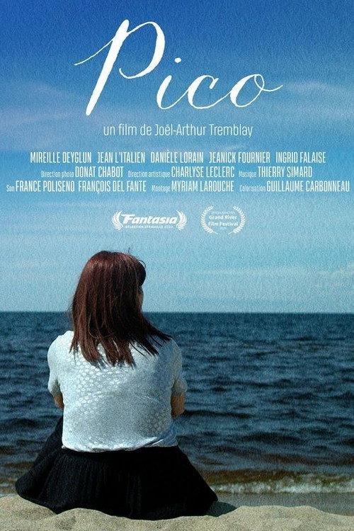 Pico 2024 official movie poster
