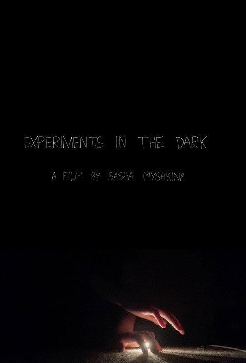 Experiments in the Dark 2022 official movie poster