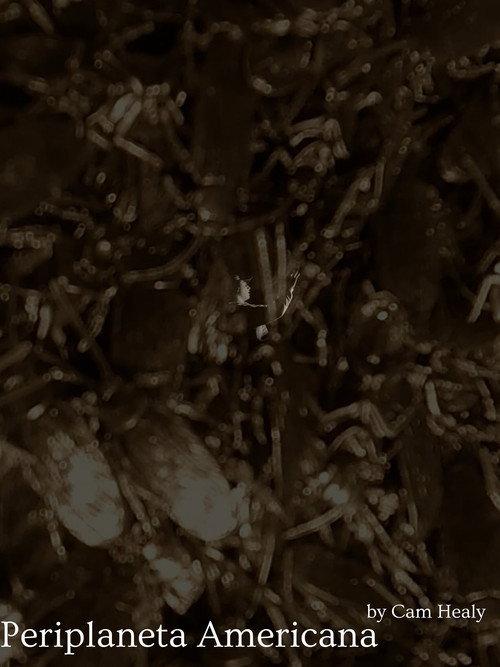 Periplaneta Americana  official movie poster