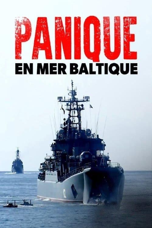 Panic in the baltic 2022 official movie poster