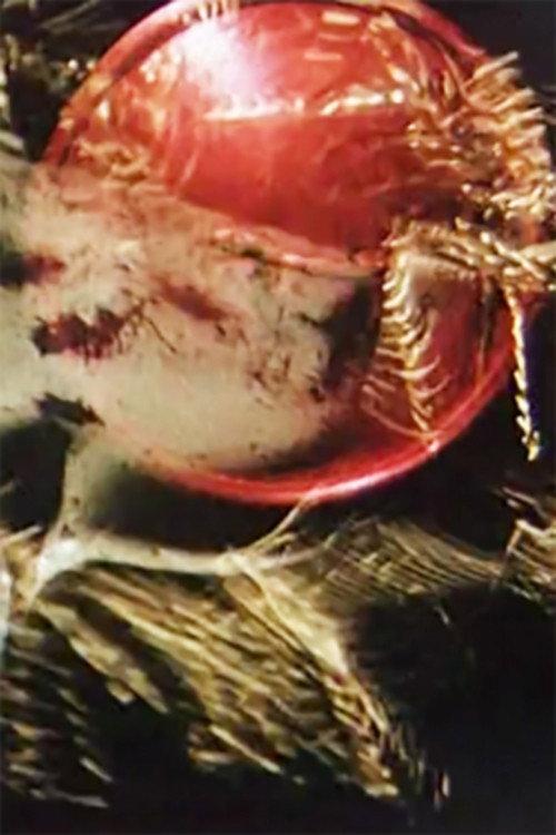 Vanitas 1962 official movie poster