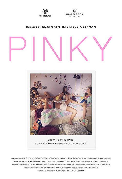 Pinky 2016 official movie poster