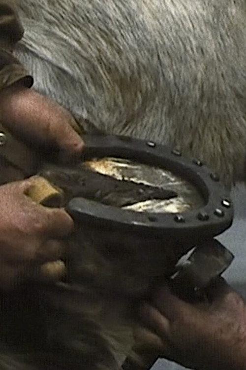 The Farrier 1977 official movie poster