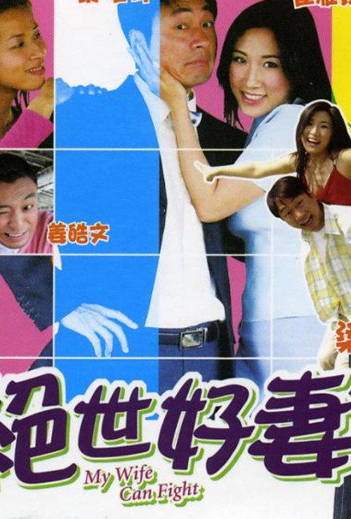 My Wife Can Fight 2006 official movie poster