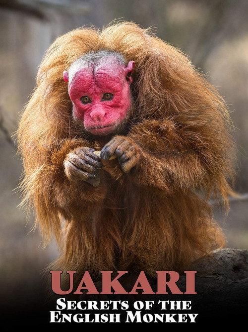 Uakari: Secrets of the English Monkey 2008 official movie poster