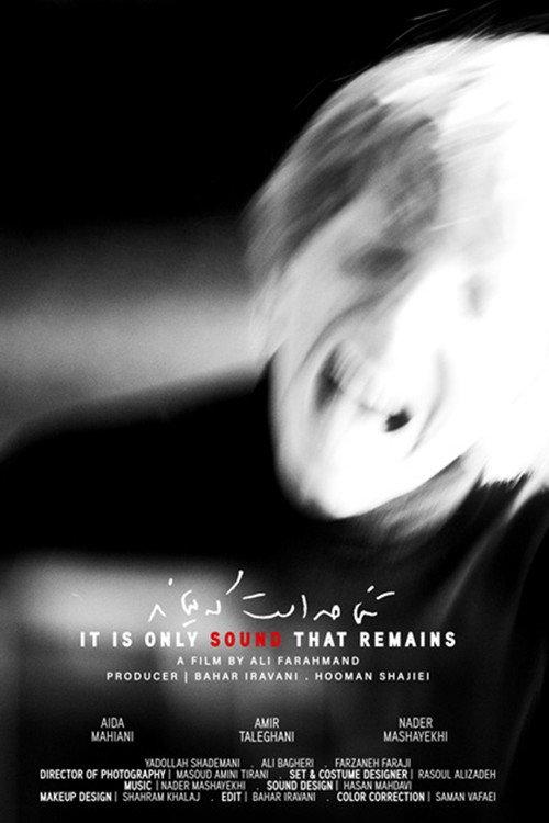 It Is Only Sound That Remains 2025 official movie poster
