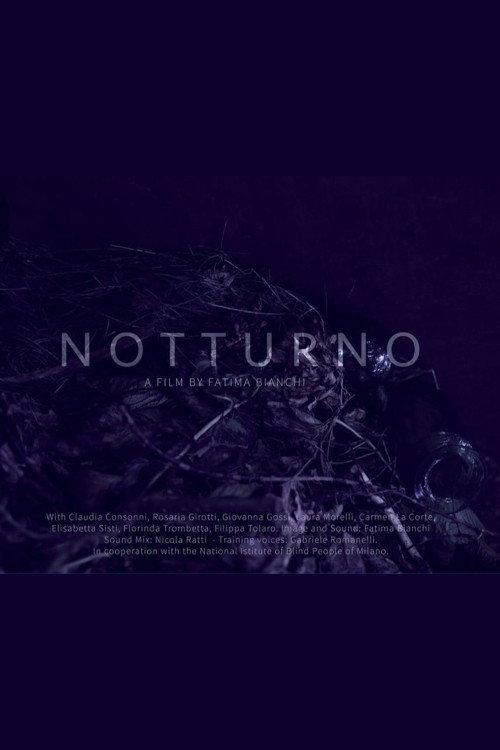 Notturno 2016 official movie poster