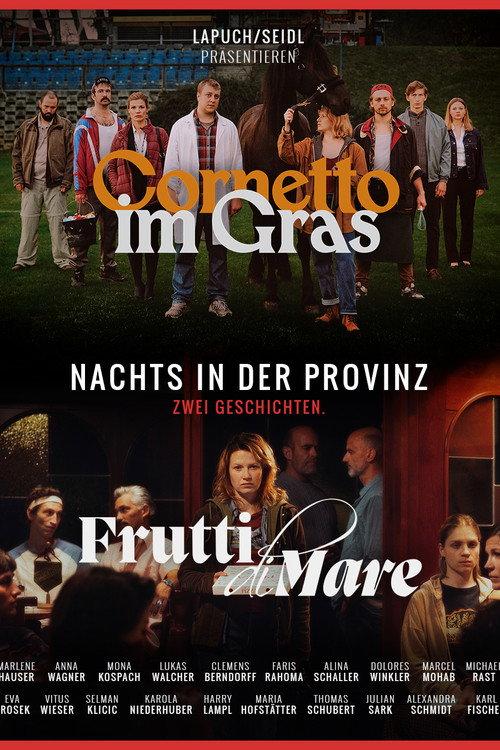Nachts in der Provinz 2026 official movie poster
