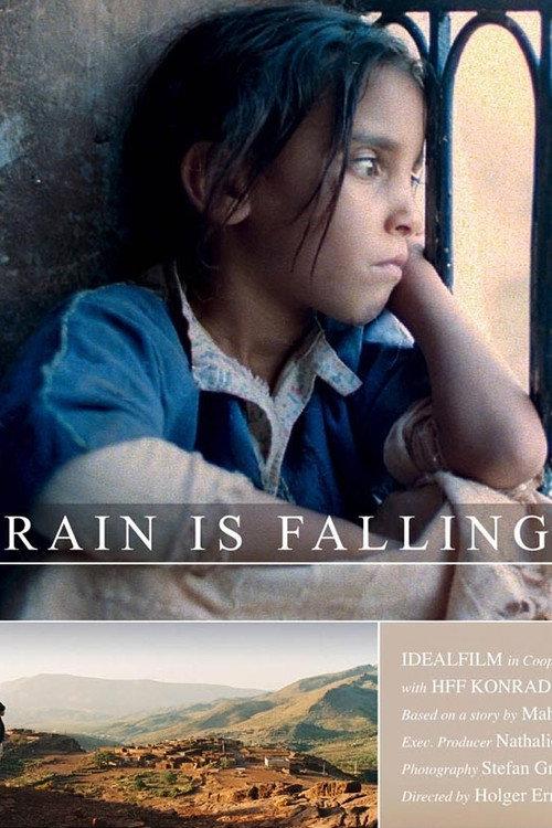 Rain Is Falling 2004 official movie poster