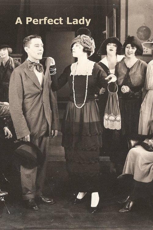 A Perfect Lady 1918 official movie poster