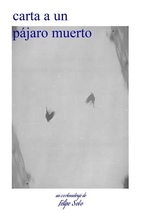 letter to a dead bird 2026 official movie poster