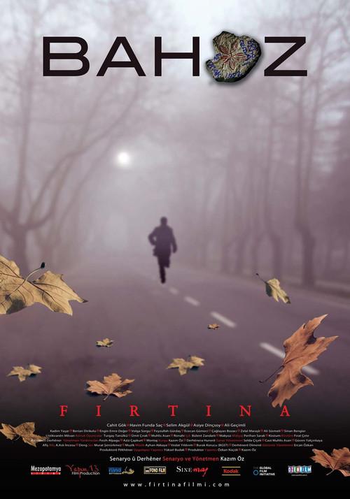 The Storm 2008 official movie poster