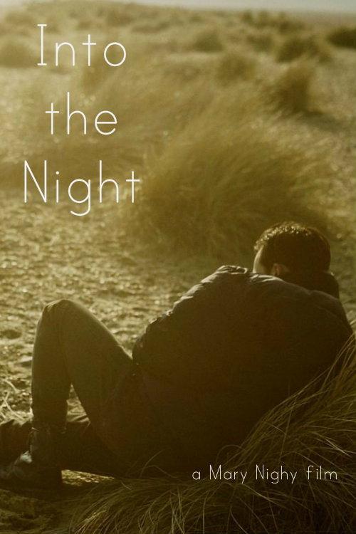 Into the Night 2010 official movie poster