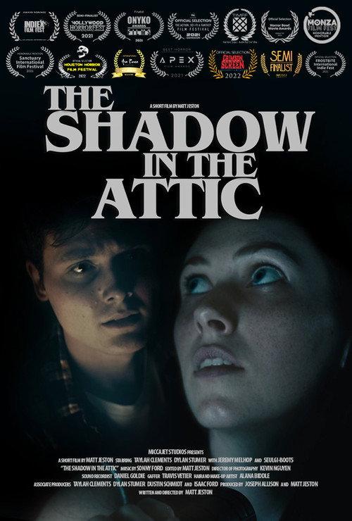 The Shadow in the Attic 2021 official movie poster
