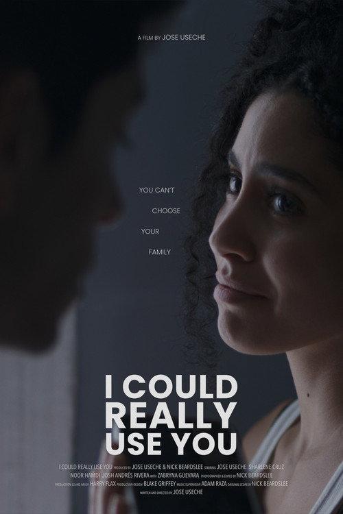 I Could Really Use You  official movie poster