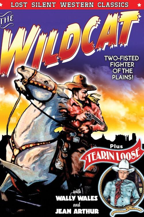 Tearin' Loose 1925 official movie poster