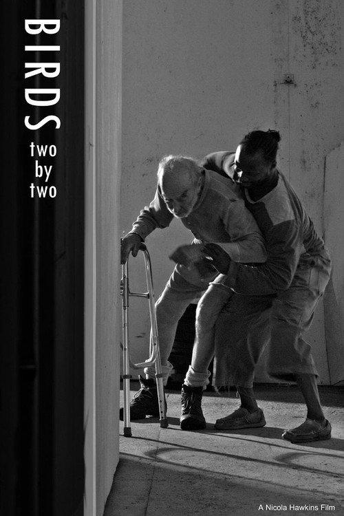 Birds Two by Two 2025 official movie poster