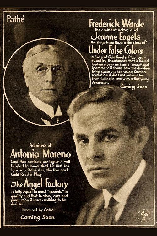 Under False Colors 1917 official movie poster