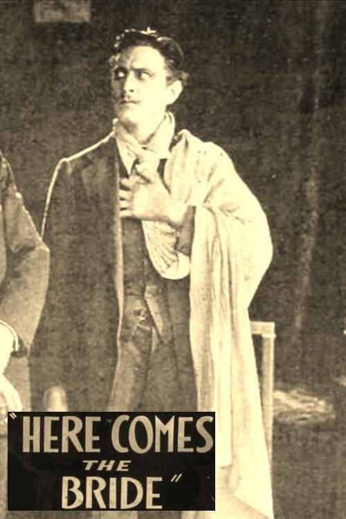 Here Comes the Bride 1919 official movie poster