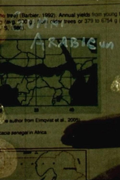 Gummi Arabicum 2020 official movie poster