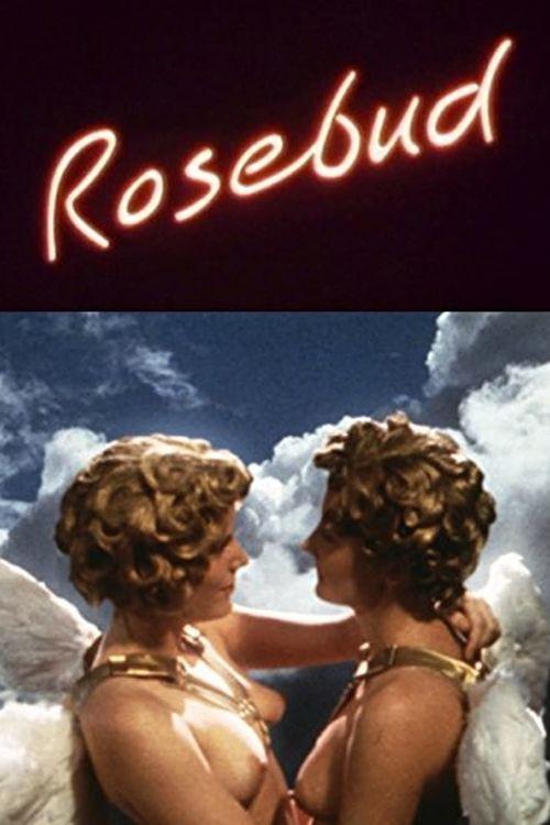 Rosebud 1991 official movie poster
