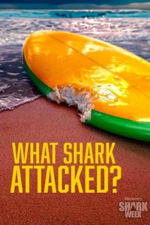 What Shark Attacked? 2026 official movie poster
