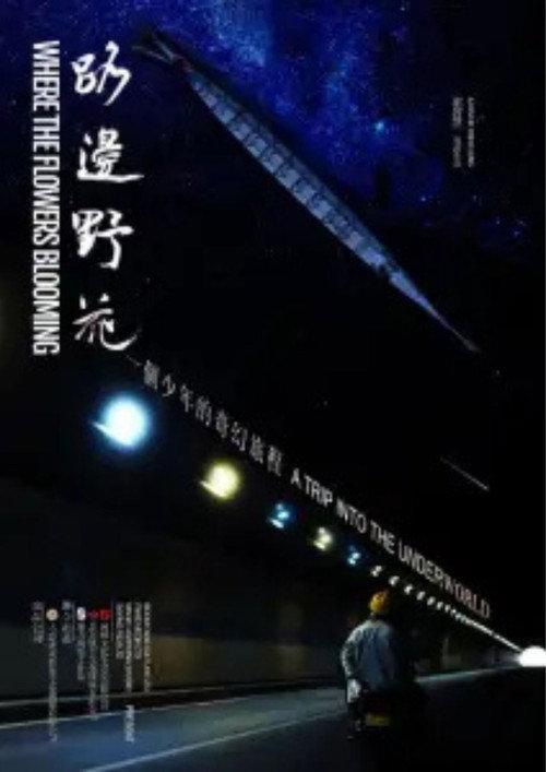 Where The Flowers Blooming 2025 official movie poster