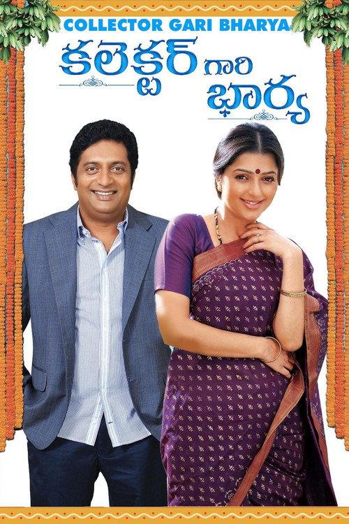 Collector Gari Bharya 2010 official movie poster