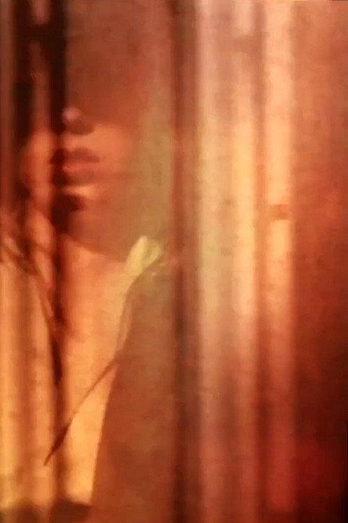 I Left My Silent House 2007 official movie poster