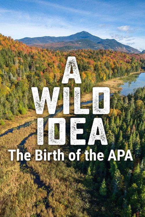 A Wild Idea: The Birth of the APA 2021 official movie poster