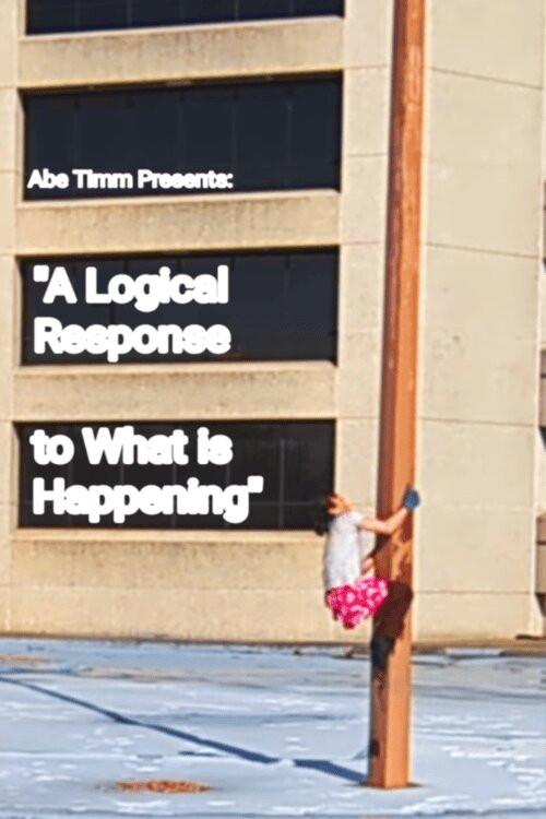 A Logical Response to What is Happening 2026 official movie poster