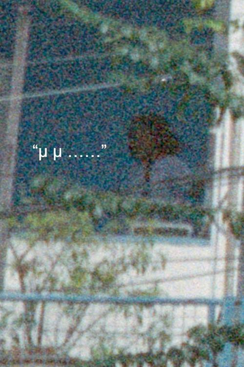 How to be a ghost in Bangkok? 2025 official movie poster