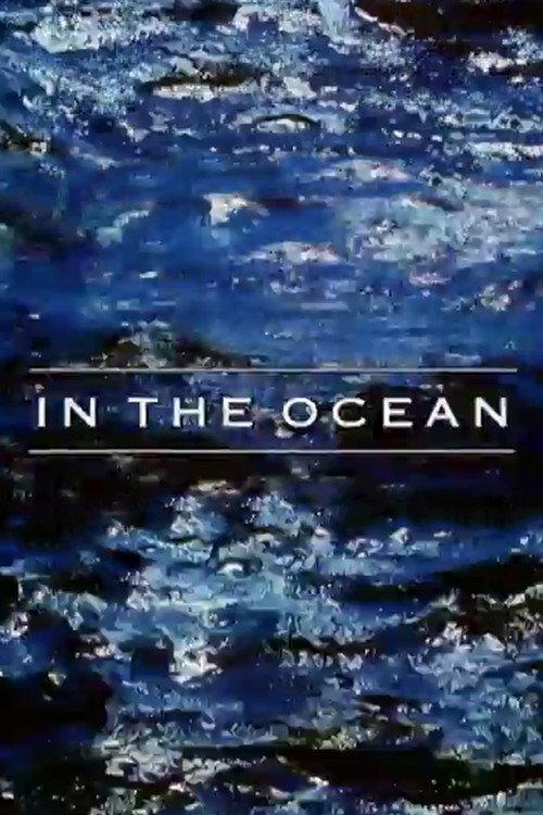 In the Ocean 2001 official movie poster