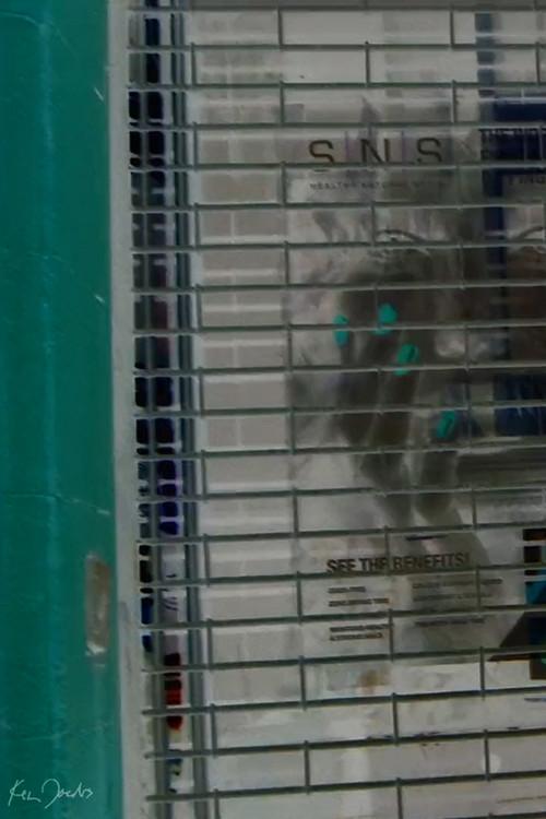 Storefront 2020 official movie poster