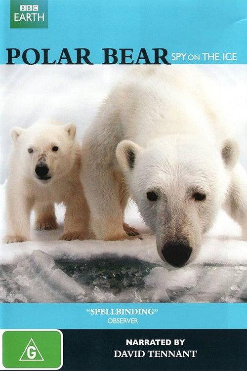 Polar Bear: Spy on the Ice 2011 official movie poster