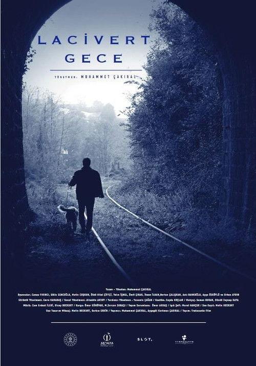 Dark Blue Night 2021 official movie poster