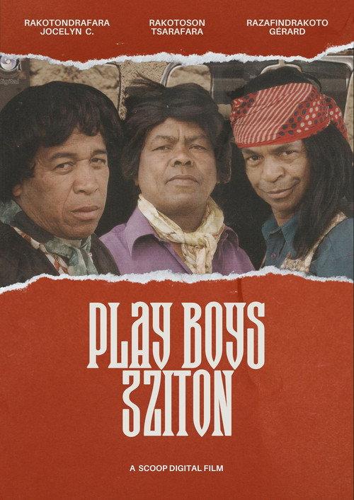Play Boys 3 2010 official movie poster