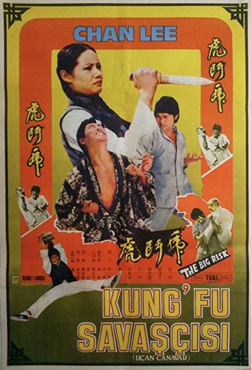 Kung Fu Conspiracy 1974 official movie poster
