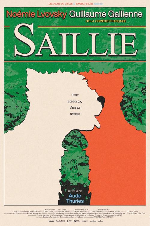 Saillie 2026 official movie poster