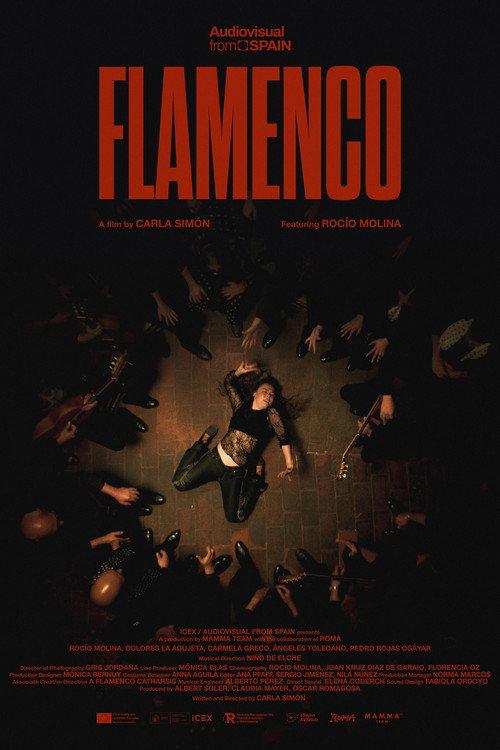 Flamenco 2026 official movie poster