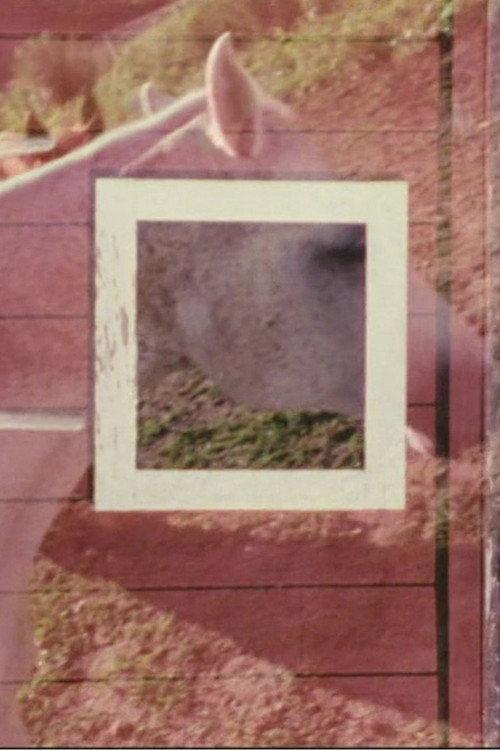 Stable 2003 official movie poster