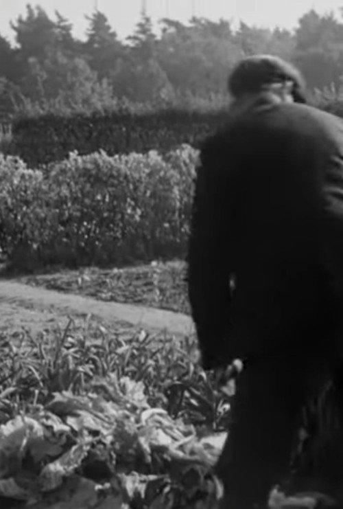Making a Compost Heap 1942 official movie poster