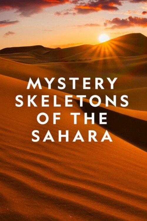 Mystery Skeletons of the Sahara 2018 official movie poster