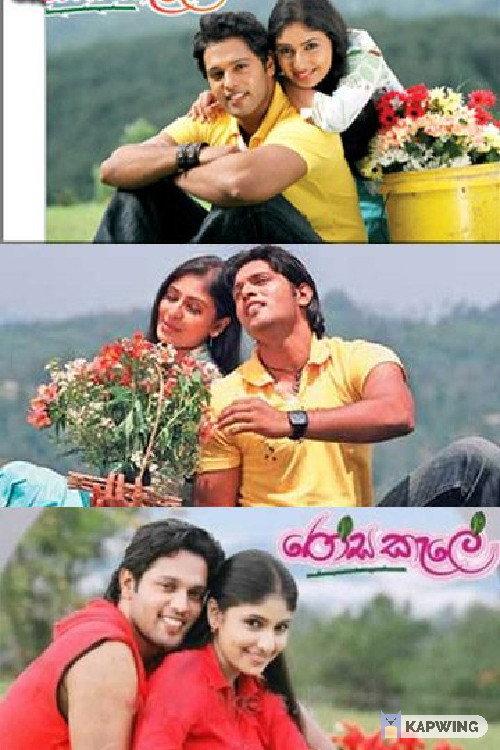 Rosa Kale 2008 official movie poster