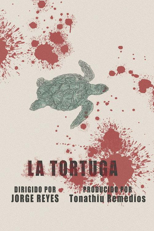The Turtle 2025 official movie poster