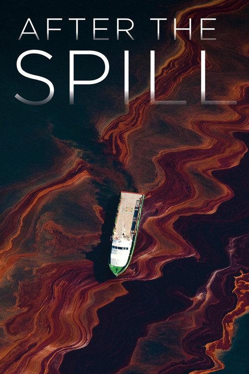 After the Spill 2015 official movie poster
