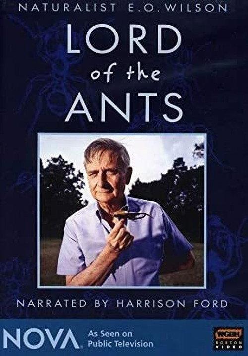 Lord of the Ants 2008 official movie poster