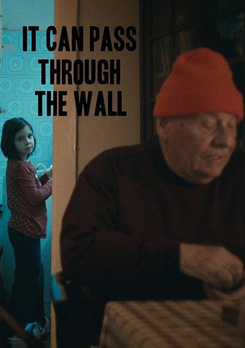 It Can Pass Through the Wall 2014 official movie poster