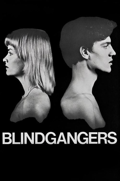 Blind Spot 1977 official movie poster